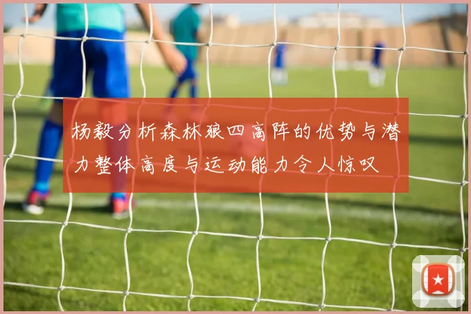 杨毅分析森林狼四高阵的优势与潜力整体高度与运动能力令人惊叹