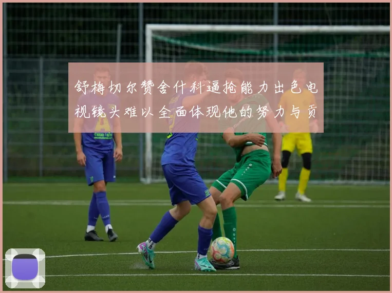 舒梅切尔赞舍什科逼抢能力出色电视镜头难以全面体现他的努力与贡献